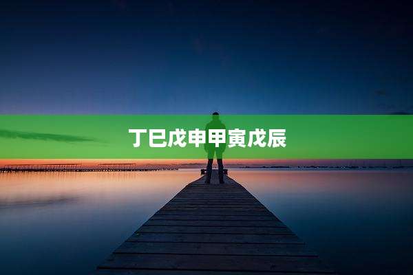 丁巳戊申甲寅戊辰
