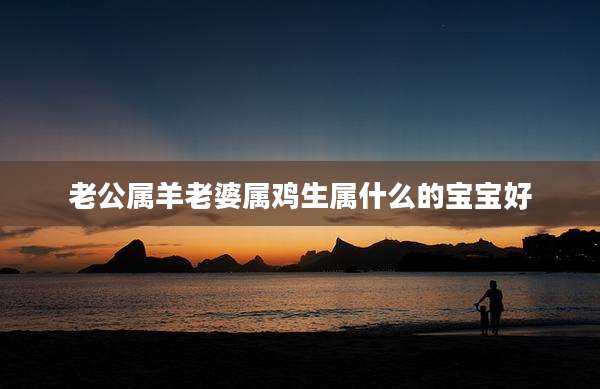 老公属羊老婆属鸡生属什么的宝宝好