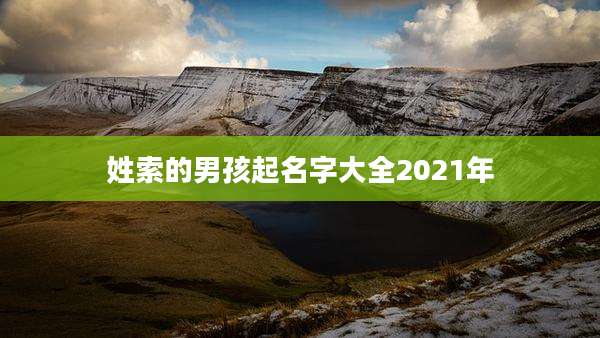 姓索的男孩起名字大全2021年