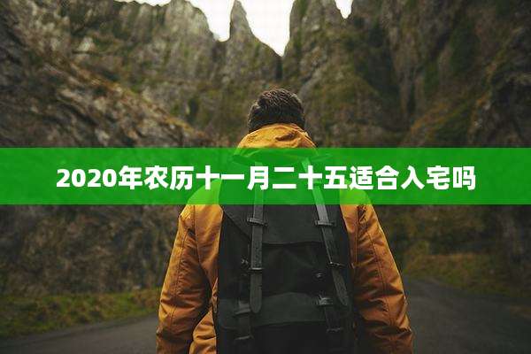 2020年农历十一月二十五适合入宅吗