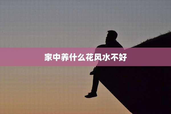 家中养什么花风水不好