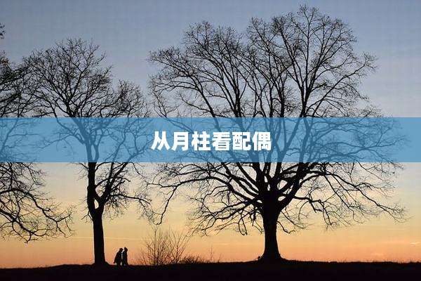 从月柱看配偶