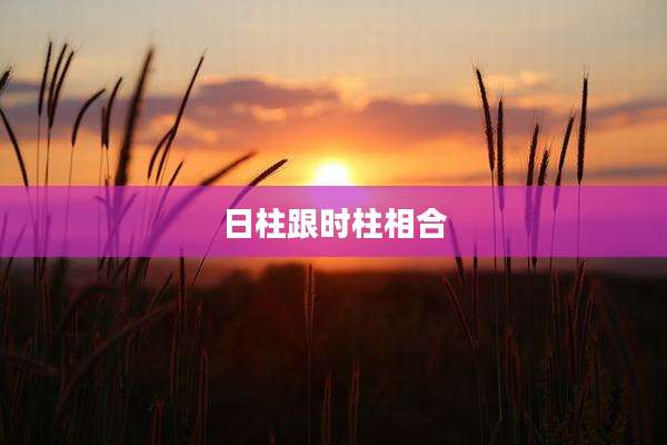 日柱跟时柱相合