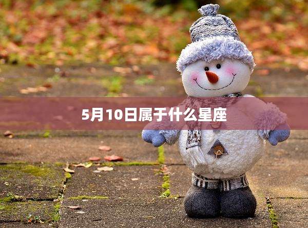 5月10日属于什么星座