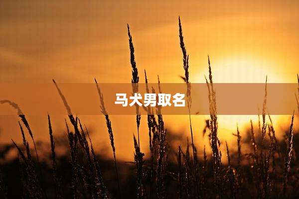 马犬男取名