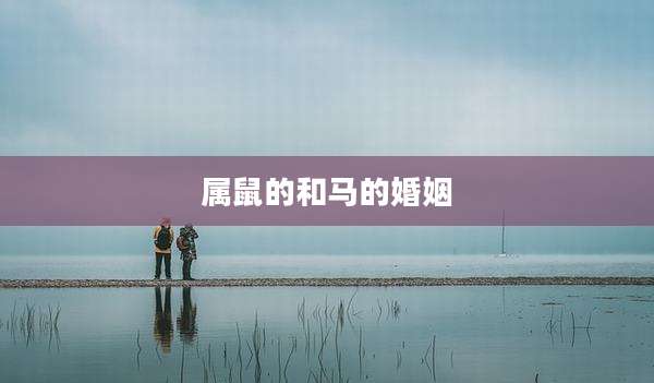属鼠的和马的婚姻