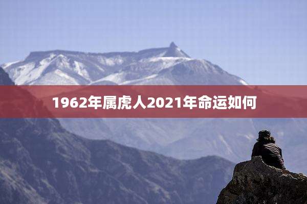 1962年属虎人2021年命运如何