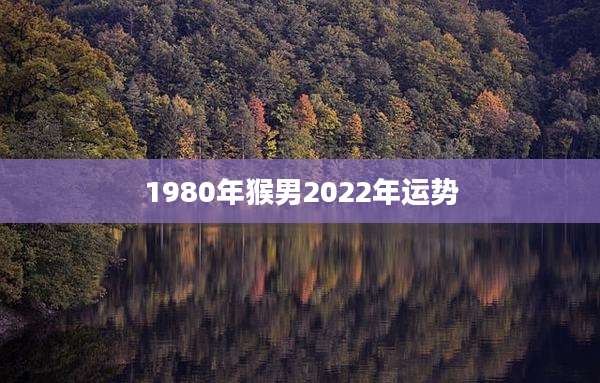 1980年猴男2022年运势