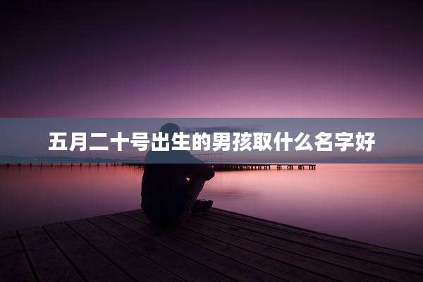 五月二十号出生的男孩取什么名字好