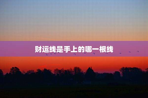 财运线是手上的哪一根线