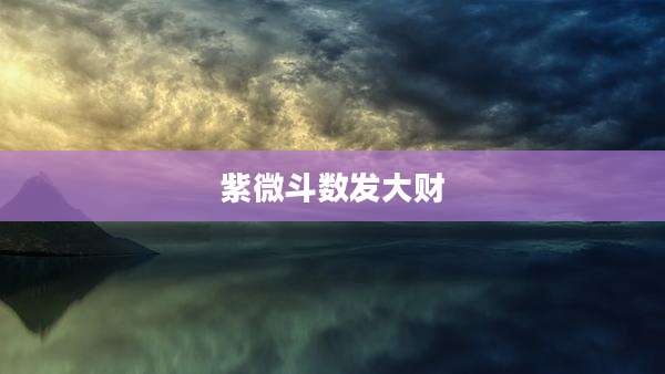 紫微斗数发大财