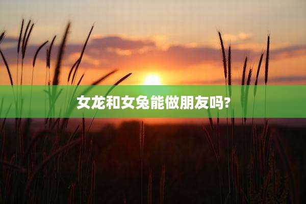 女龙和女兔能做朋友吗?