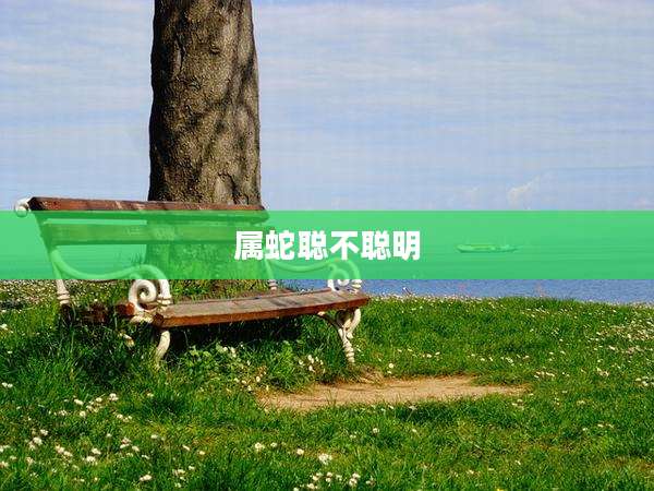 属蛇聪不聪明
