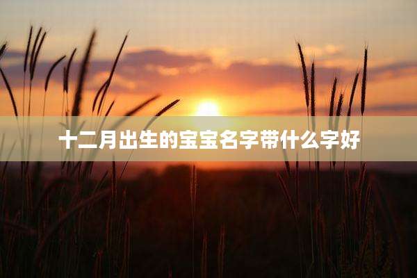 十二月出生的宝宝名字带什么字好