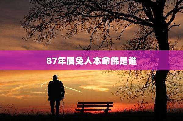 87年属兔人本命佛是谁