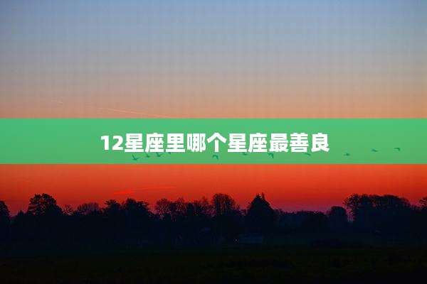 12星座里哪个星座最善良