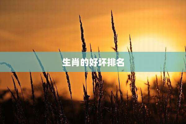 生肖的好坏排名