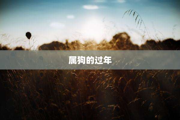 属狗的过年