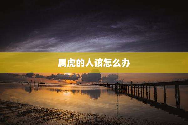 属虎的人该怎么办