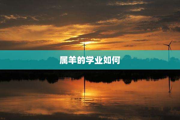 属羊的学业如何