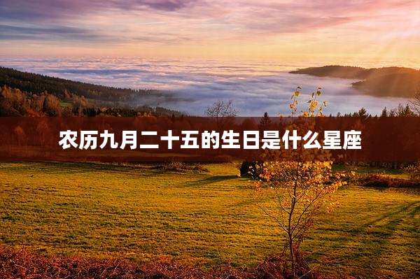 农历九月二十五的生日是什么星座