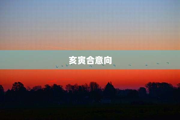 亥寅合意向