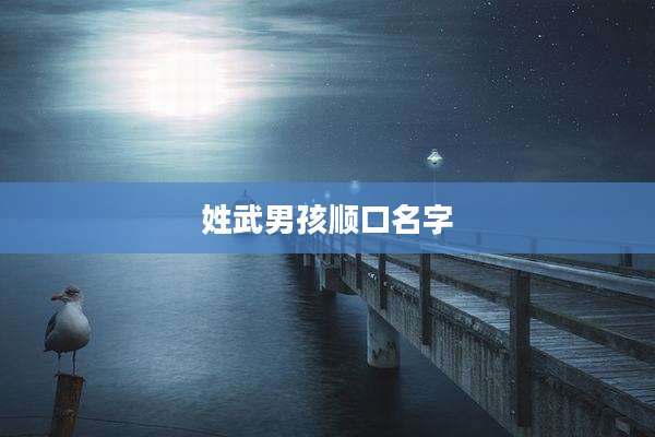 姓武男孩顺口名字