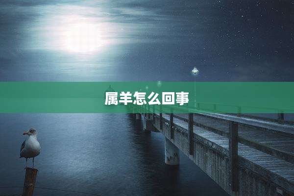属羊怎么回事
