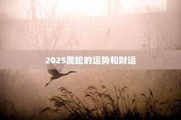 2025属蛇的运势和财运