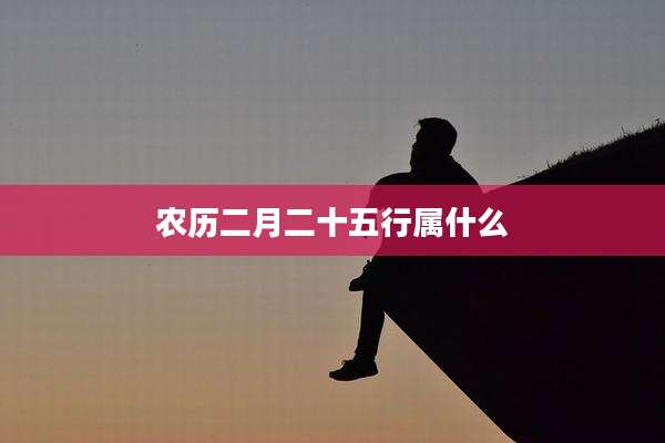 农历二月二十五行属什么