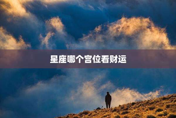 星座哪个宫位看财运