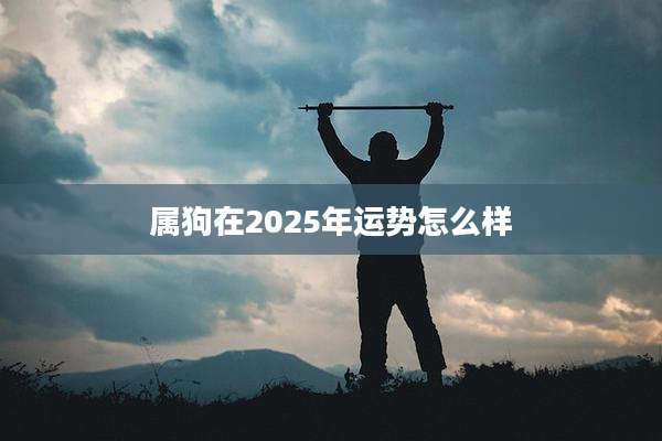 属狗在2025年运势怎么样