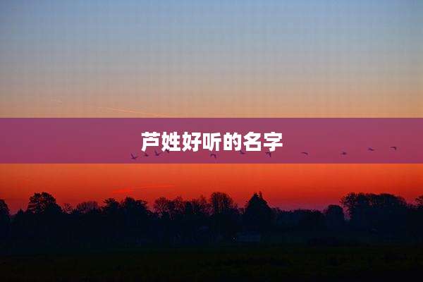芦姓好听的名字