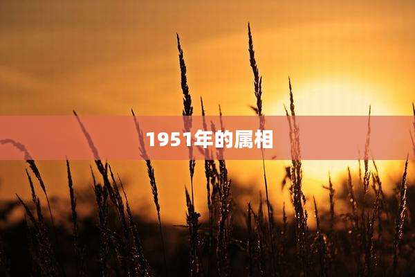 1951年的属相