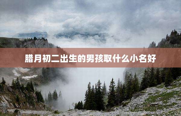 腊月初二出生的男孩取什么小名好