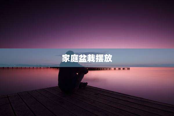家庭盆栽摆放