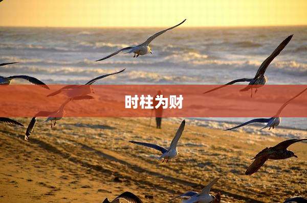 时柱为财