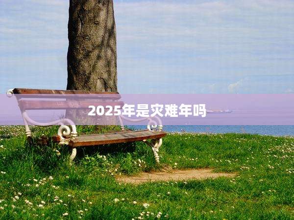 2025年是灾难年吗