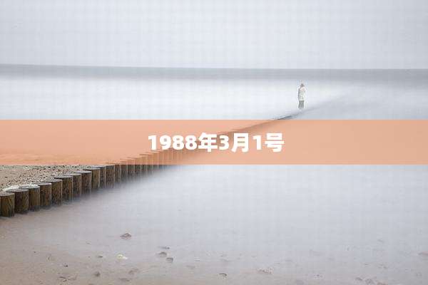 1988年3月1号