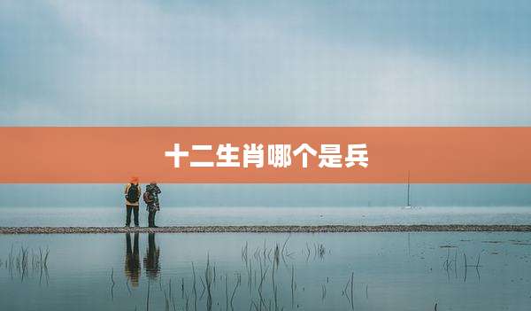 十二生肖哪个是兵
