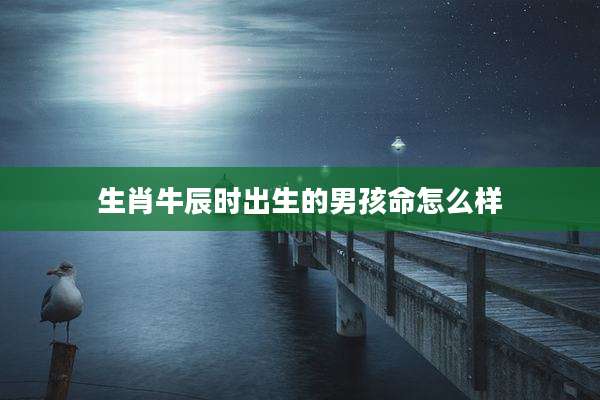 生肖牛辰时出生的男孩命怎么样