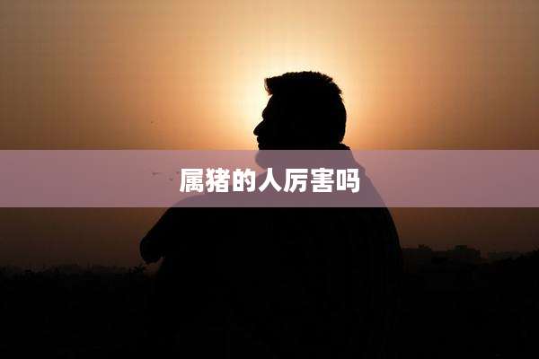 属猪的人厉害吗