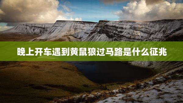 晚上开车遇到黄鼠狼过马路是什么征兆