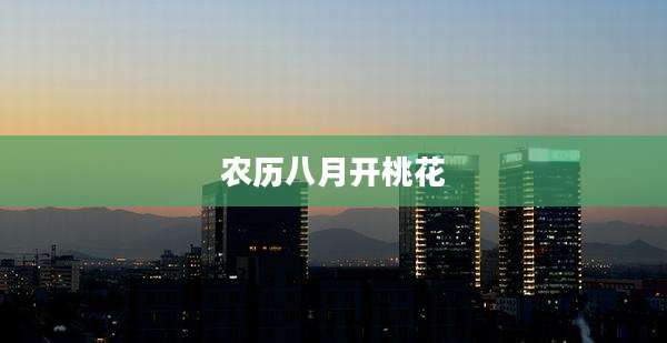农历八月开桃花
