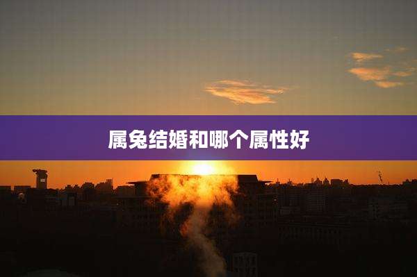 属兔结婚和哪个属性好