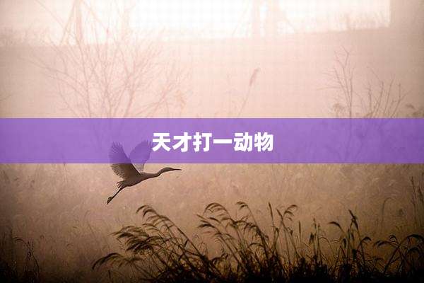 天才打一动物