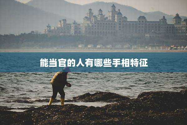 能当官的人有哪些手相特征