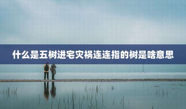 什么是五树进宅灾祸连连指的树是啥意思