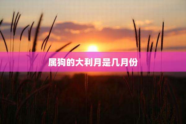 属狗的大利月是几月份