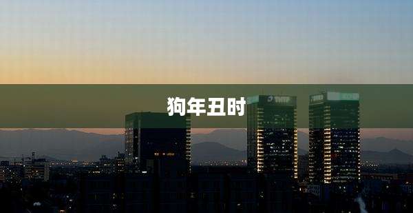 狗年丑时